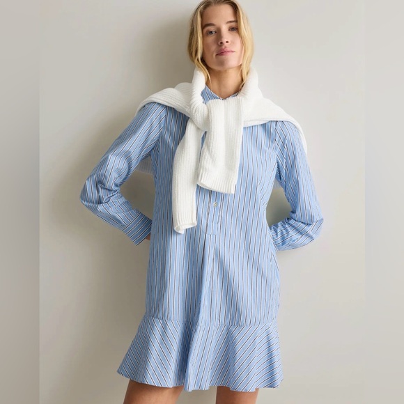 NWT Quince 100% Organic Cotton Drop Waist Shirt Dress in Tribeca Stripe - Picture 2 of 12